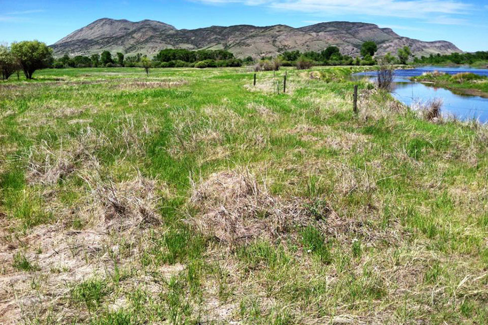 farm weed control